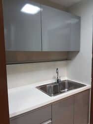 The Suites At Central (D9), Condominium #560278901